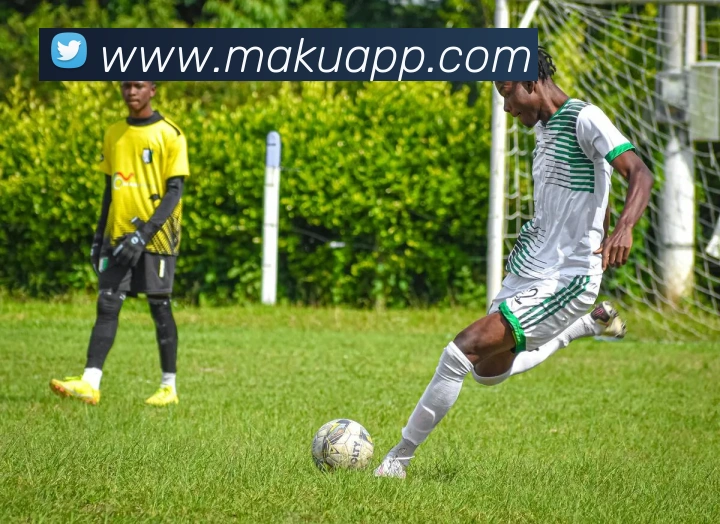 emc易倍全站网页版品牌故事